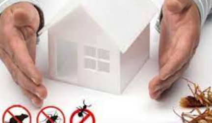 Guardians of Wollongong’s Homes: Defending Peace with Effective Vermin Control